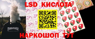 mdpv Краснознаменск