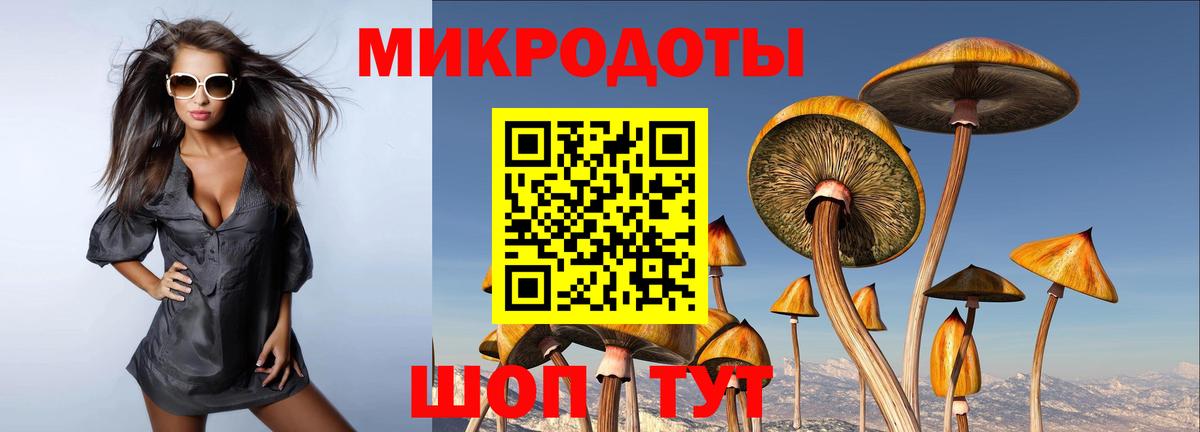 Псилоцибиновые грибы GOLDEN TEACHER  Вход с VPN  Галлюциногенные грибы Psilocybe  Жуковский 